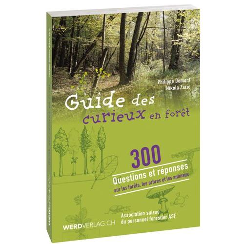 Curieux en forêt