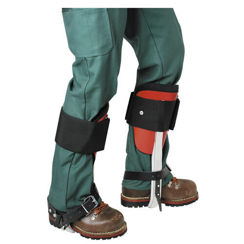 Grimpettes demi-coques