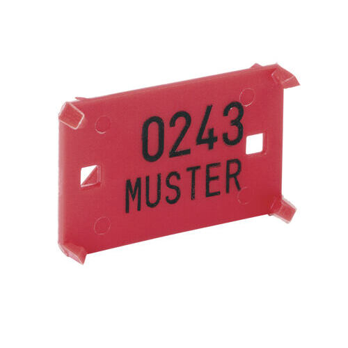 Plaquettes solide, inscription à choix (1'000 plaquettes, max. 6 lettres)