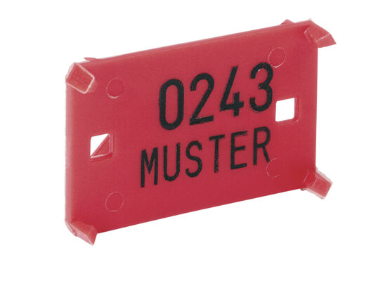 Plaquettes solide, inscription à choix (1'000 plaquettes, max. 6 lettres)