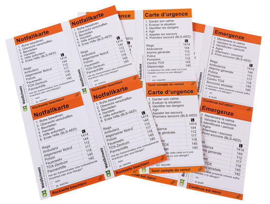 Carte d'urgence (100 pièces)