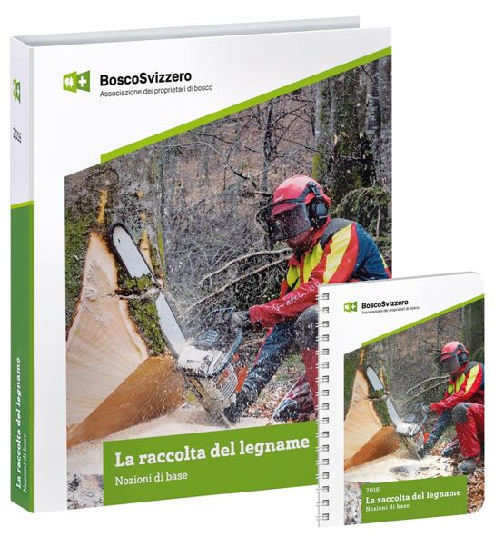 "La raccolta del legname" incl. schede promemoria / 2024