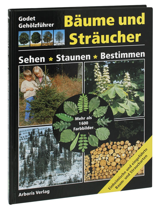 Buch: "Bäume und Sträucher" (Grossformat A4)