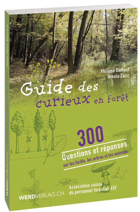 Curieux en forêt